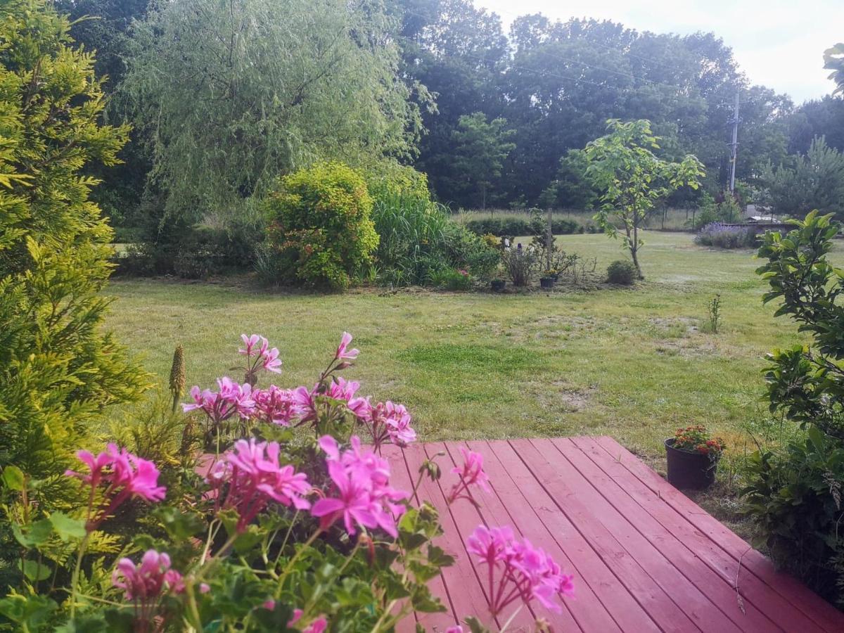 Apartment Apartamenty Zielona Gora *