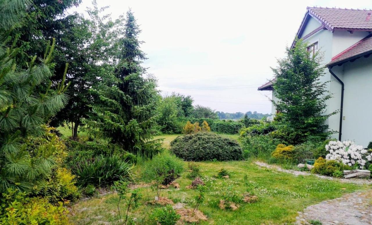 Apartamenty Zielona Gora Apartment *