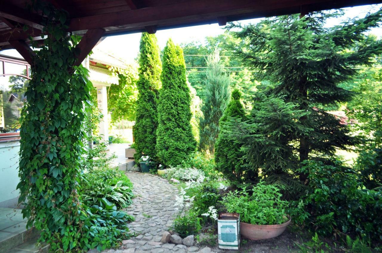 Apartment Apartamenty Zielona Gora *
