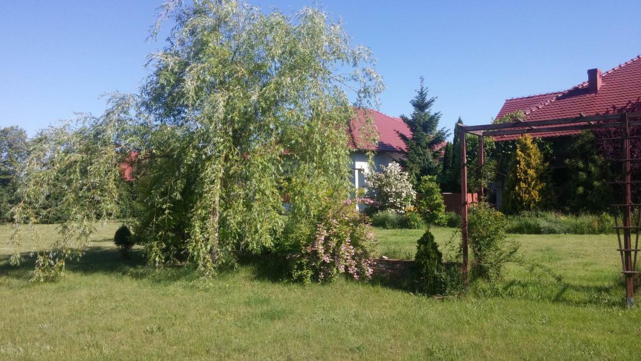 Apartment Apartamenty Zielona Gora Zielona Gora (Lubuskie)
